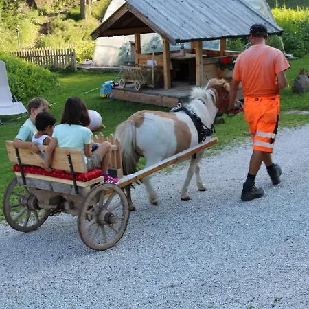 Farm stay Untertalhof Castelrotto